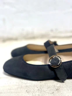 AMELIE ANTE GRIS