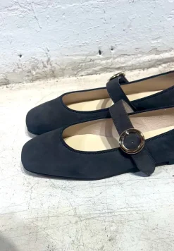 AMELIE ANTE GRIS